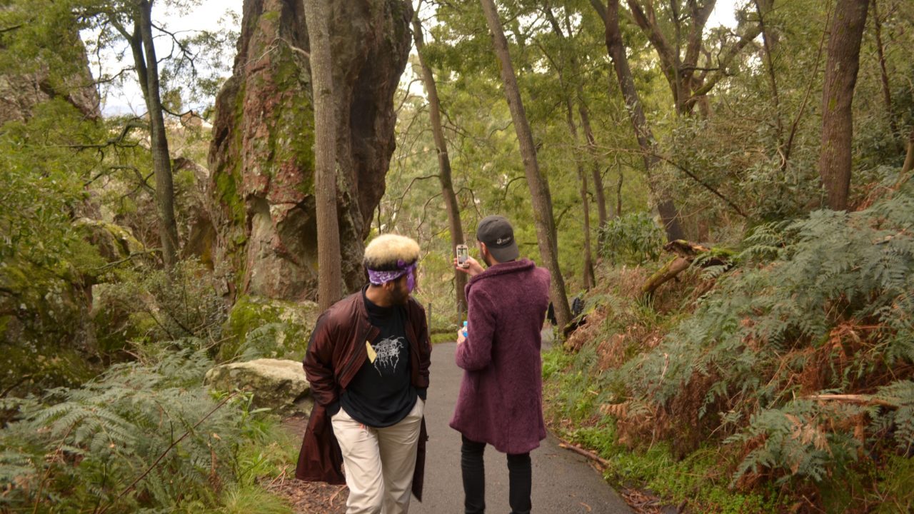 dandenong walk early invisible - Copy